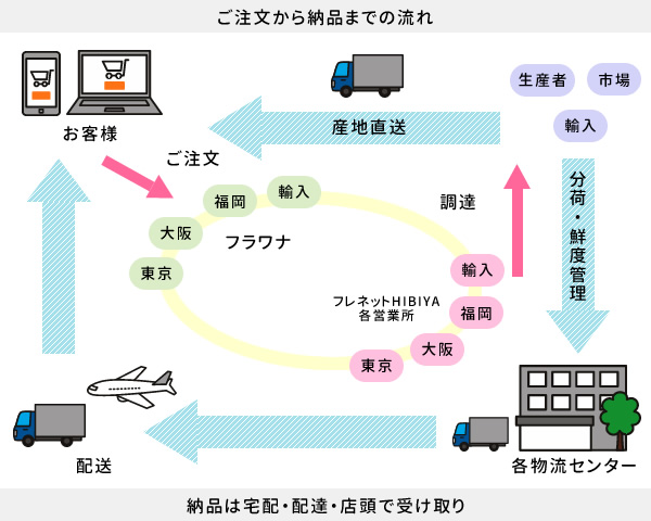 お取引きのご案内 フレネットhibiya