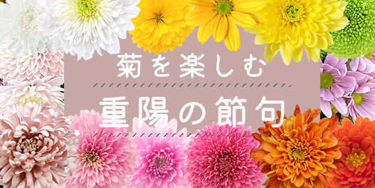 花の仕入れなら仲卸フレネットhibiya 国内600 海外10ヶ国から新鮮なお花を仕入れ