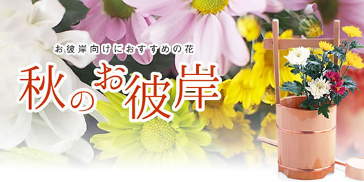 花の仕入れなら仲卸フレネットhibiya 国内600 海外10ヶ国から新鮮なお花を仕入れ